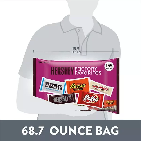 HERSHEY'S Factory Favorites Variety Pack Candy, Snack Size, 155 pcs. - Image 3